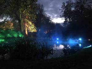 a forest lit up with blue and green lights at Sofiero Slott