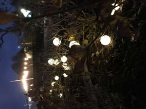 A walkway at Sofiero Slott lighted with electric lights