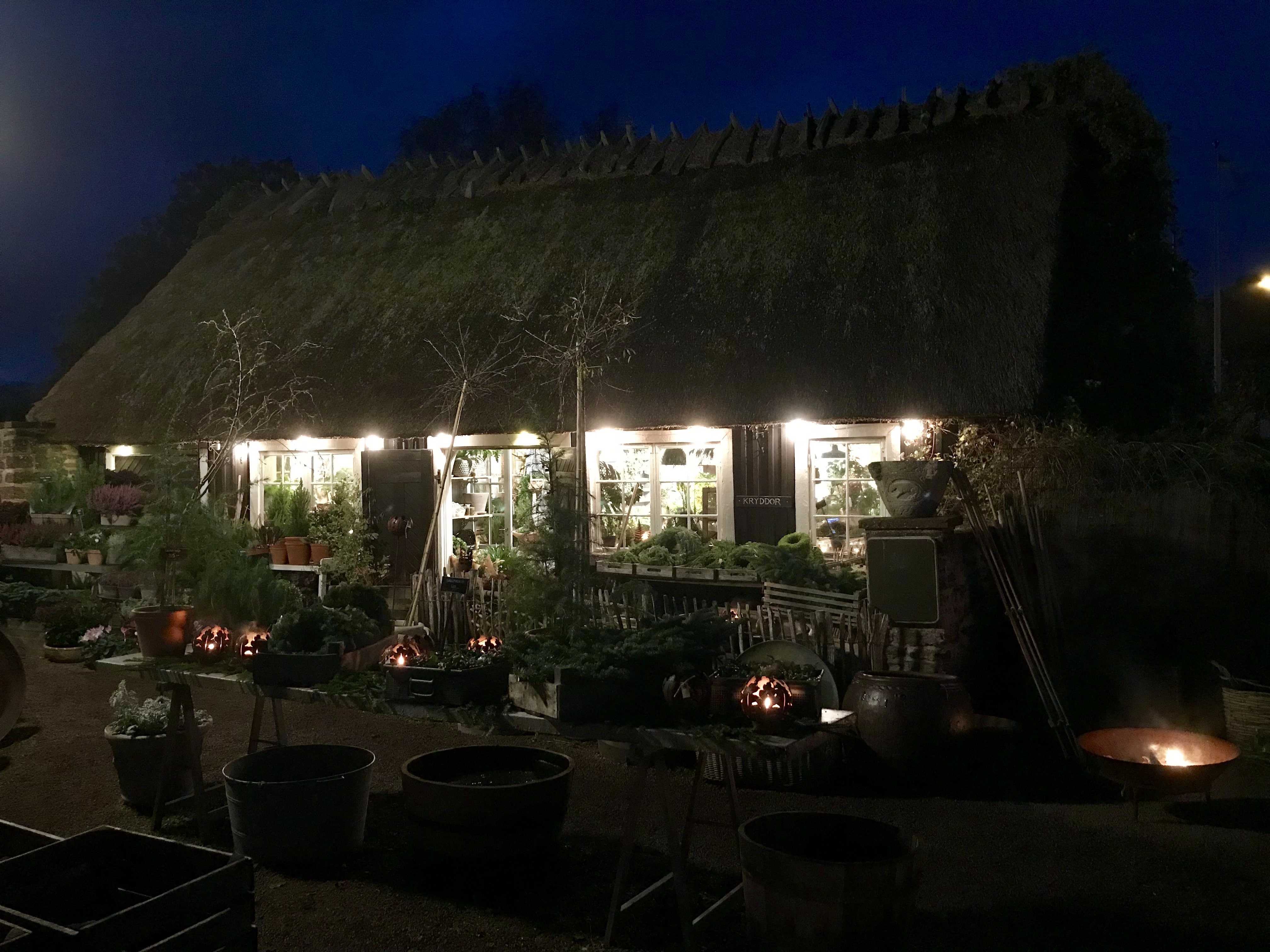 A lighted garden shed at Sofiero festival of Lights