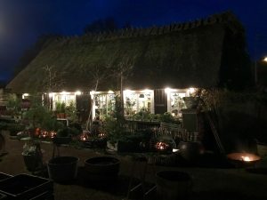 A lighted garden shed at Sofiero festival of Lights